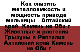 Как снизить металлоемкость и мощность привода мельницы - Алтайский край, Камень-на-Оби г. Животные и растения » Грызуны и Рептилии   . Алтайский край,Камень-на-Оби г.